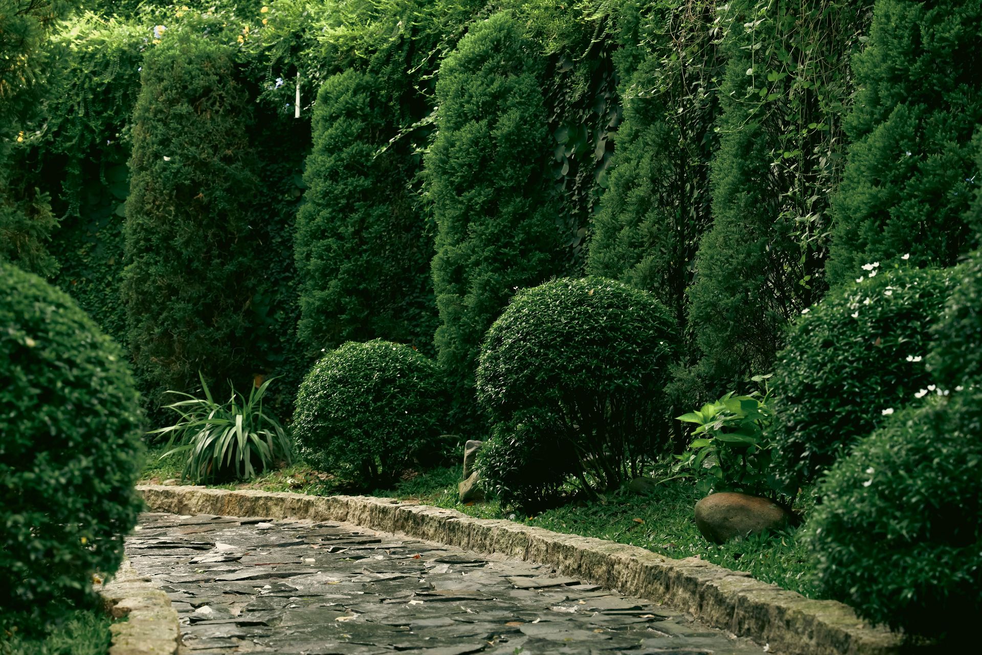 Serene garden with lush greenery featuring topiary trees lining a stone pathway.